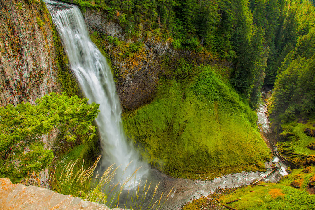 Nature