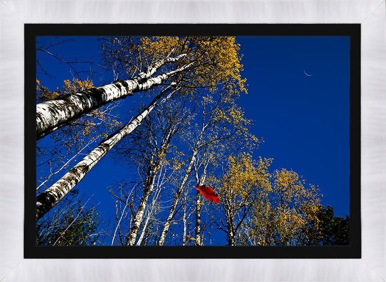 Autumn Wonders