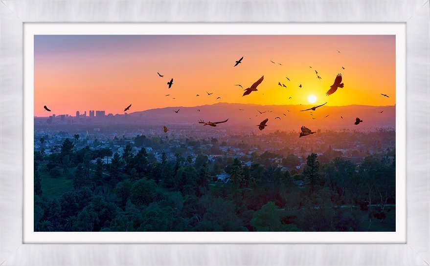A BIRDIE NUM NUM SUNSET