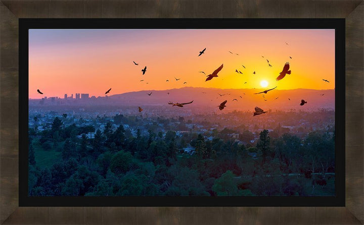 A BIRDIE NUM NUM SUNSET