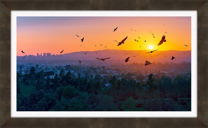 A BIRDIE NUM NUM SUNSET
