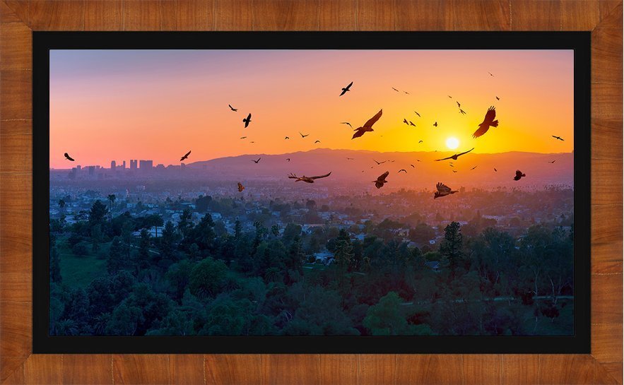 A BIRDIE NUM NUM SUNSET