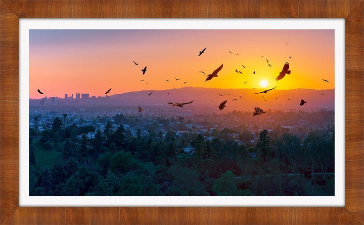 A BIRDIE NUM NUM SUNSET