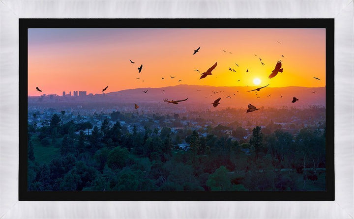 A BIRDIE NUM NUM SUNSET