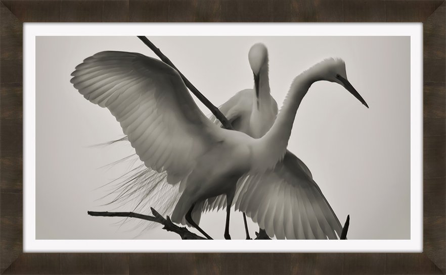 WINGS OF LOVE
