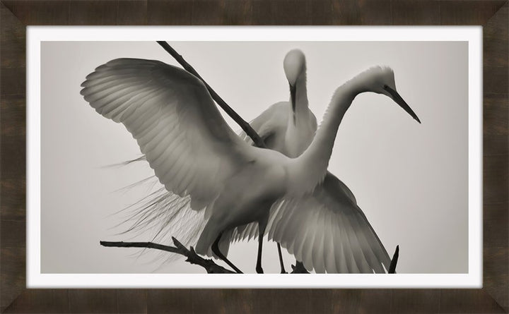 WINGS OF LOVE