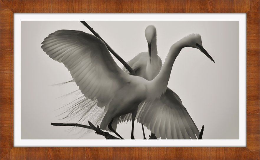 WINGS OF LOVE