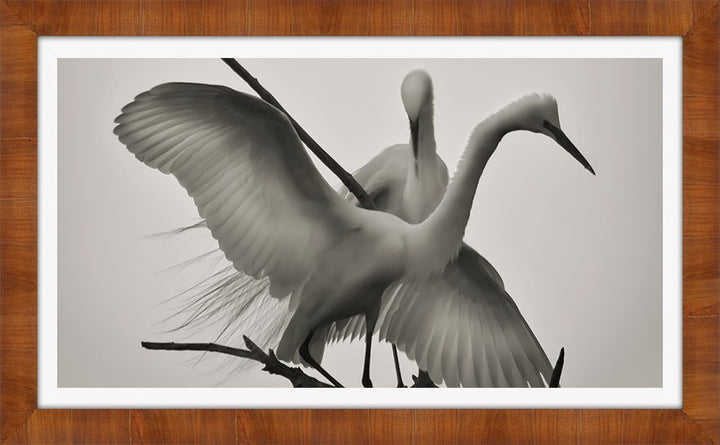 WINGS OF LOVE