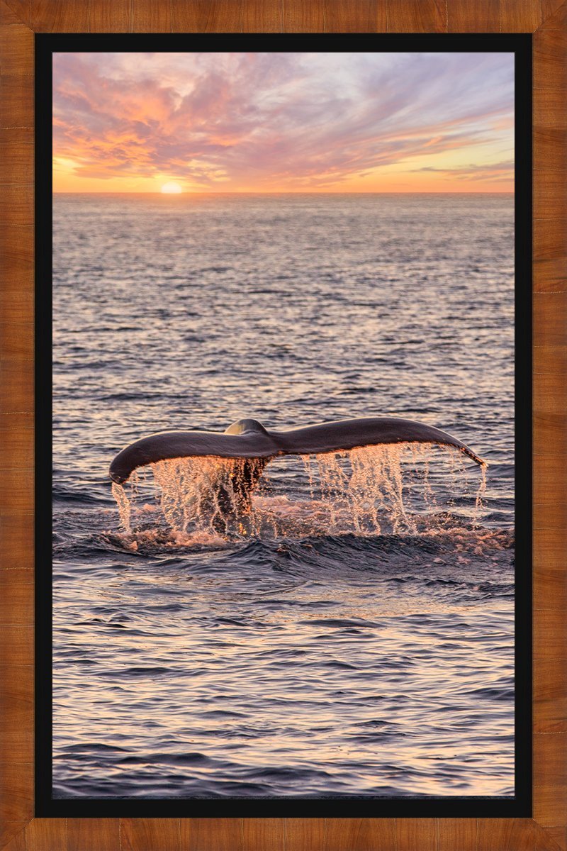 WHAT A FLUKE!