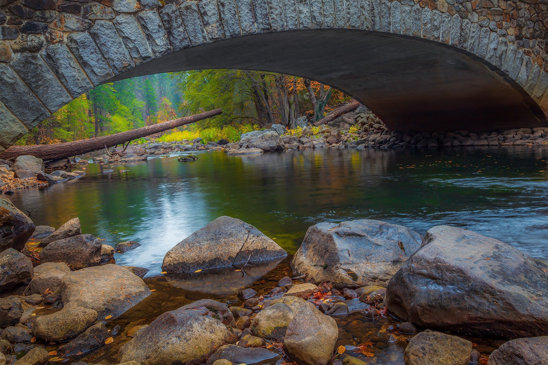 The Merced | Seek & Find