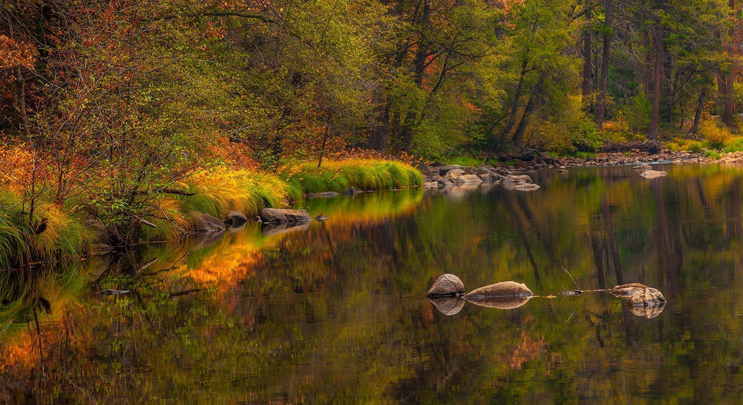 AUTUMN TRANQUILITY